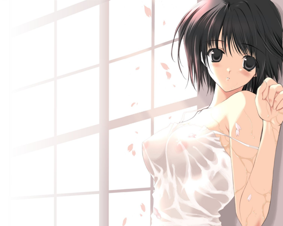 1609 blush nipples petals see through short hair suzuhira hiro wet white